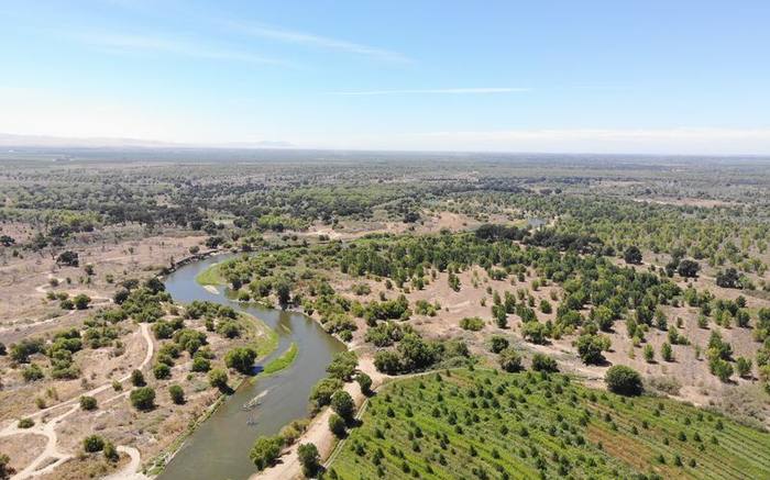 Aerial survey &middot; Central California