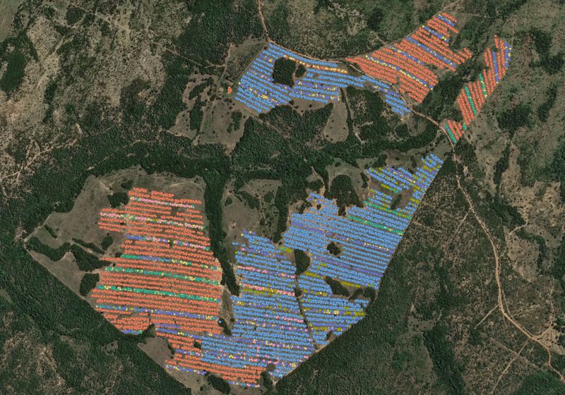 Working Trees planting dashboard